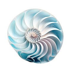 Naklejka na meble Beautifully Detailed Nautilus Shell with Soft Blue Patterns.
