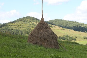 Wall Mural - Pile of hay on field in mountains