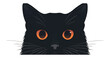 © peppastocker - Black cat with a spooky face. Vector flat isolated.