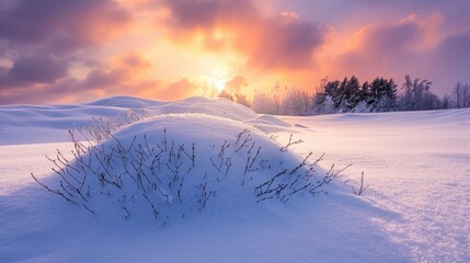 Wall Mural - Winter Sunset Over Snowy Landscape