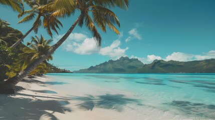 Canvas Print - Bora boras coastline is lined with green palm image