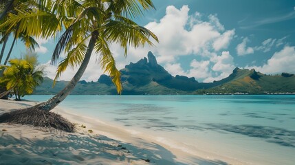 Canvas Print - Bora boras coastline lined with palm trees picture