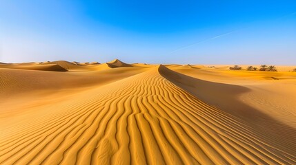 Canvas Print - The endless desert has golden sands and high