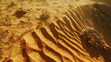 Sticker - The golden desert with endless sand dunes stretching