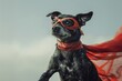 © chaln - Superdog in the Sky: A determined canine hero takes flight, sporting a red mask and cape, soaring towards adventure with unwavering bravery.