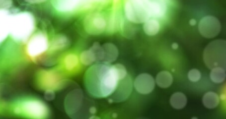 Wall Mural - bokeh, blurry and green with particles in pastel colorful background with light. imagination, glitte