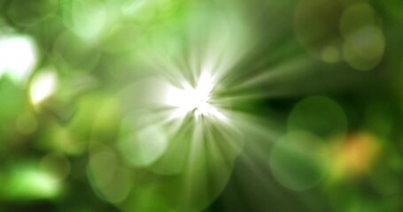 Wall Mural - bokeh, flares and green with particles in pastel colorful background with light. imagination, glitte