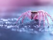 © Fokasu Art - Macro shot of a spider with a smooth gradient background, vibrant colors fading from blue to purple, copy space for text