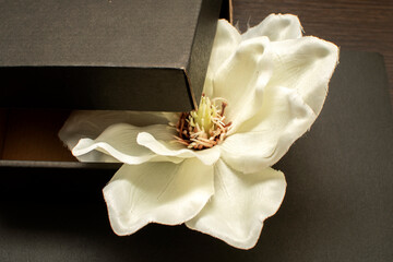 Artificial flower inside of a cardboard box