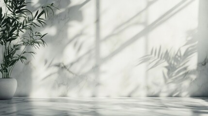 Wall Mural - Minimalist Interior Design with Light and Shadow