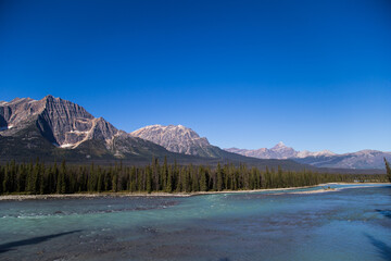 beautiful mountain, forest and river