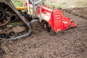 A mini tractor with a milling machine plows the ground on an agricultural field on an autumn day.