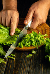 Wall Mural - Close-up of chef hands on kitchen board using knife to cut lettuce leaves for vegetable menu.