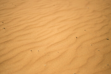 Desert sand texture inner mongolia