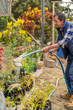© Guillermo Spelucin - Gardener watering plants in a plant nursery