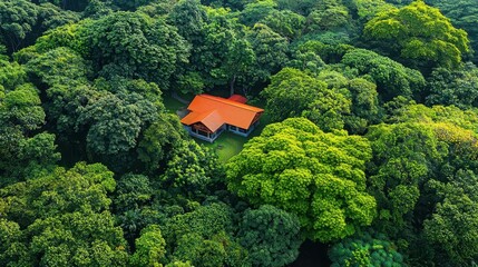 Canvas Print - Aerial View of a House in the Rainforest