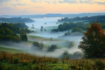 Wall Mural - misty valley landscape with rolling hills. a beautiful scenic photo for nature or travel websites, b