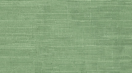 natural green linen texture, a seamless pattern for textile design or background