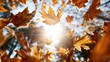 © MarkFinal - Burst of autumn leaves in warm colors, scattering in the wind