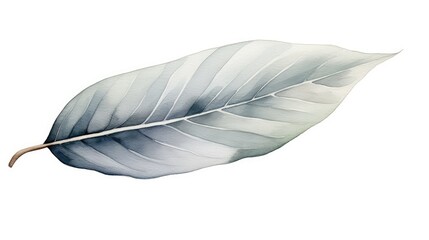 Canvas Print - monochromatic water color leaf