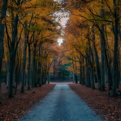 Vibrant autumn leaves illuminate tranquil forest at dusk