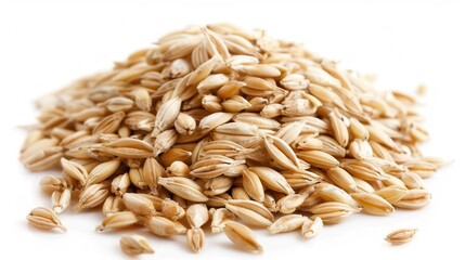 Wall Mural - Barley Seeds Pile in Isolated White Background. Grains of Cereal Agriculture Crop