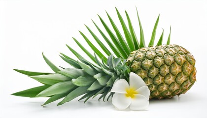 Natural Fresh Green Pineapple with Leaf and Flower: Pure Organic Goodness