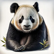 © 정인 이 - 사랑스러운 판다