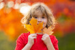 © Volodymyr - Autumn kid Portrait with Fall Yellow Leaves in hand. Beautiful Kid in Autumn Park Outdoor. Close up face of cute child hold leaves in park outdoor. Childhood, autumn and leisure. Fall foliage.