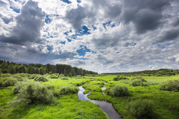 Wall Mural - A lush green meadow stretches beneath a dynamic sky filled with clouds, while a gentle stream winds through the vibrant landscape.