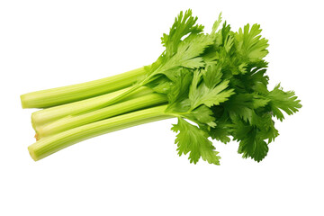 Wall Mural - A Bunch of Crisp Celery Stalks With Lush Green Leaves on a White or Clear Surface PNG Transparent Background.