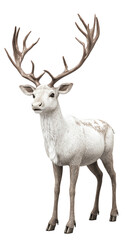 Wall Mural - 3D Illustration of Regal reindeer standing on transparent background