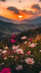 Sunset Over Mountain Meadow With Wildflowers