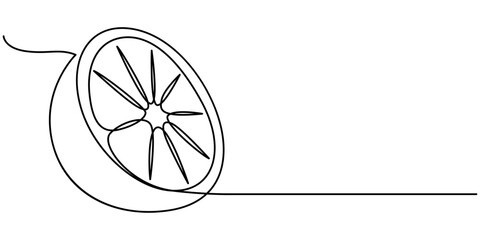 Continuous one line drawing of Orange Fruit with leaf. slice of orange fruit hand drawn single line art vector illustration, Continuous Line Drawing Of Lemon Fruit Branch with Leaves Black Sketch
