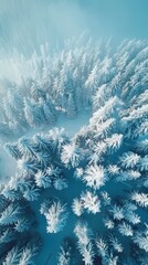 Wall Mural - A snowy forest with trees covered in snow