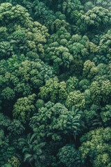 Sticker - Forest with green trees