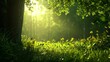 © Nattanon - Sunlight filters through leaves in a serene forest, illuminating green grass and yellow flowers for a peaceful nature scene.