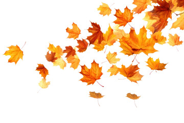 Wall Mural - png autumn leaves falling white background