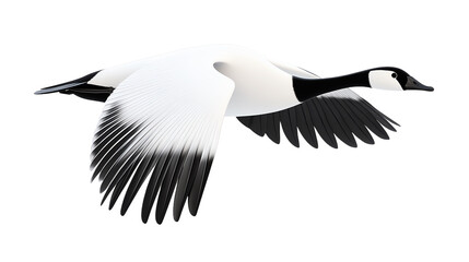 Wall Mural - 3d cartoon of elegant snow goose flying on transparent background