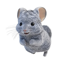 Wall Mural - 3d cartoon of fluffy chinchilla running on transparent background