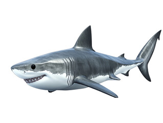 Wall Mural - 3d cartoon of majestic great white shark swimming on transparent background