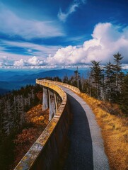 Canvas Print - Mountain Bridge Road