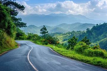 Sticker - Scenic road with lush nature on one side