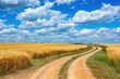© LimeSky - Scenic rural view with wheat field blue sky white clouds dirt road