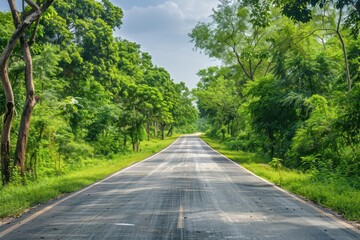 Wall Mural - Scenic rural India with empty road and greenery Developed