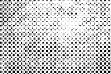 Wall Mural - Black halftone pattern texture on white background.