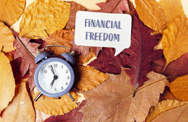 A clock is on top of a pile of leaves with the words financial freedom written in a speech bubble