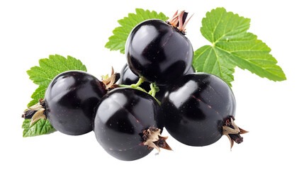 Wall Mural - Blackcurrant isolated on transparent background, PNG