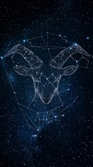 Wall Mural - a starry night sky features the constellation of capricorn illuminated with bright dots in deep spac