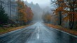 © Ева Поликарпова - Road through dense fog in a forest with tall trees